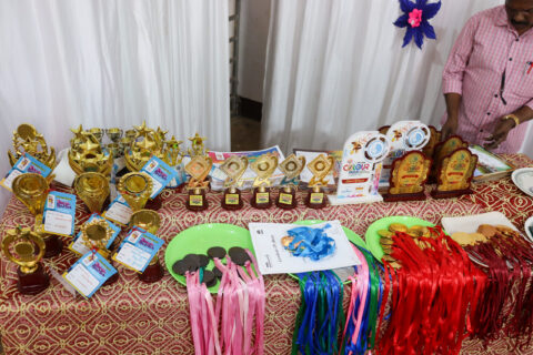 Veni Vidi Vici 2023-24